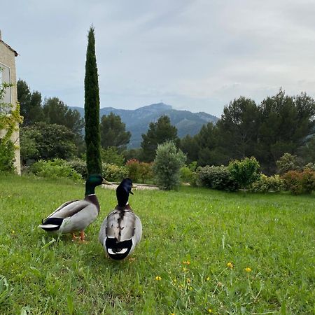 La Maison Perchee Ориоль Экстерьер фото